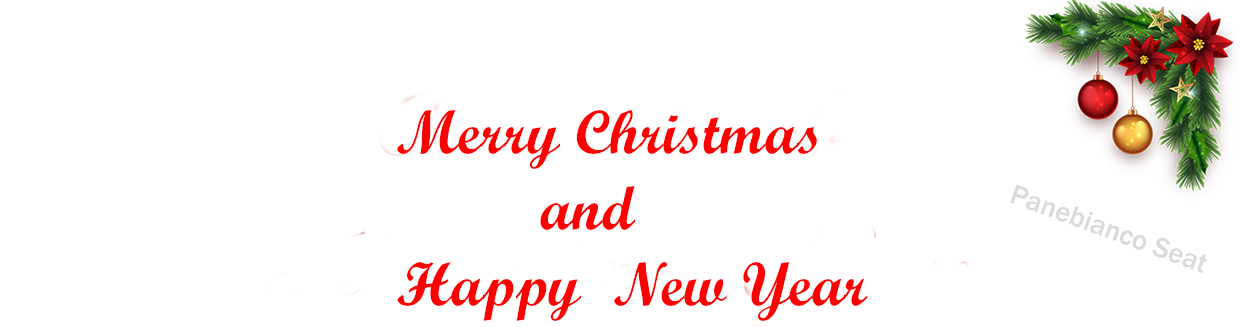 Auguri da Panebianco